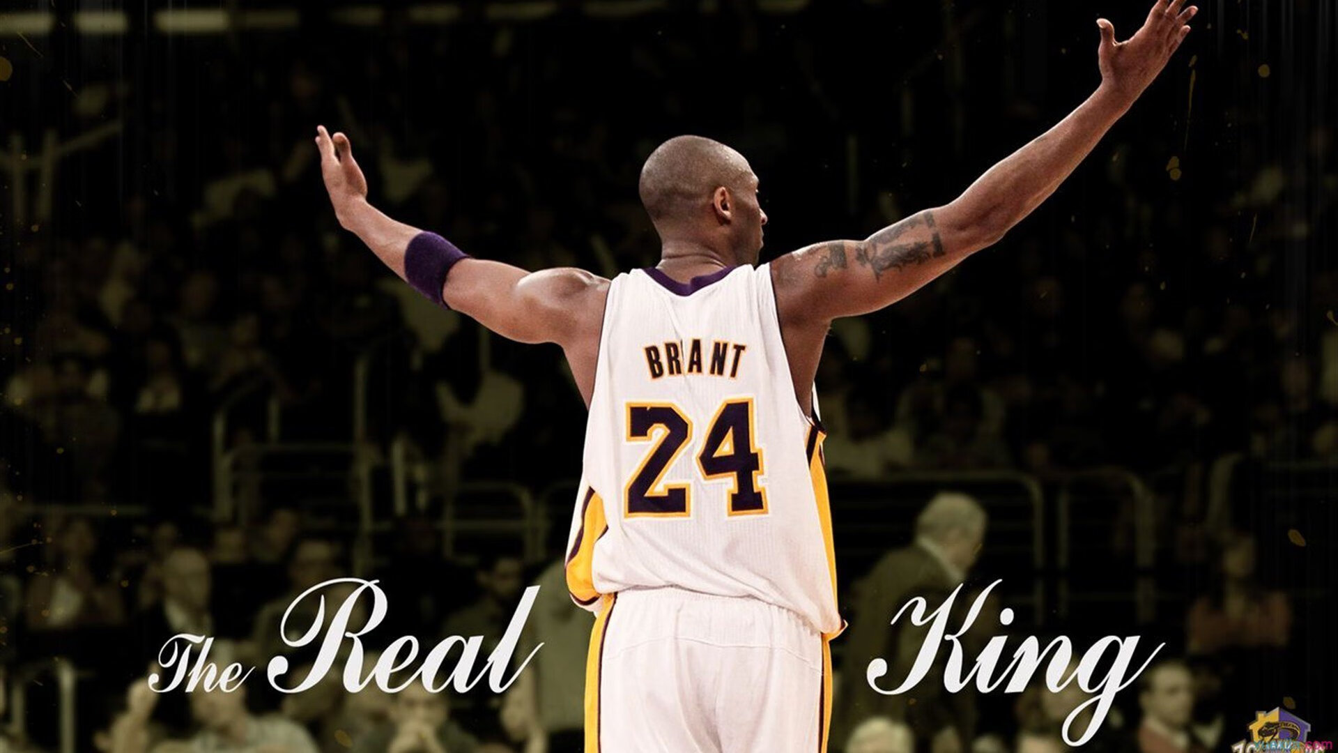 欧文赫夫展现绝佳实力，助球队取胜，欧文哈尔