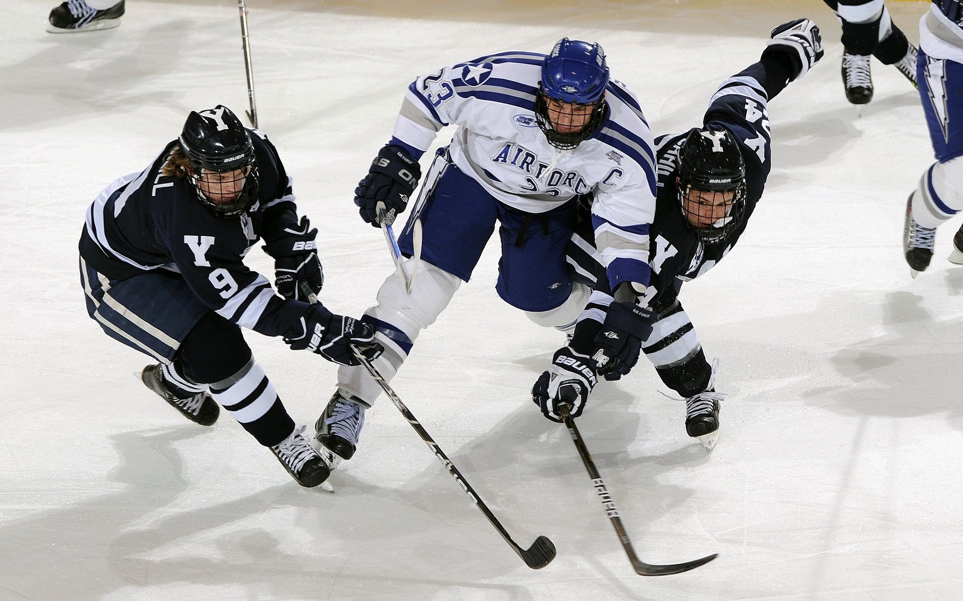 AYX体育-荷兰队踢平挪威，积分榜变动或引人瞩目，荷兰1_1挪威