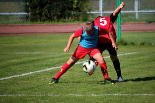 爱游戏登录-世界定向越野锦标赛中国获团体铜牌，国际定向越野联合会